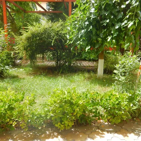 Casa Paloma *